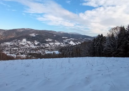 działka na sprzedaż - Brenna