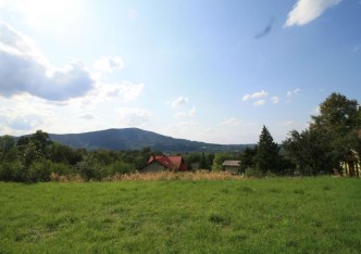 parcel for sale - Porąbka, Podelniska