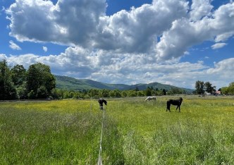 działka na sprzedaż - Bielsko-Biała, Kamienica