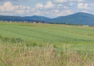 działka na sprzedaż - Lipowa, Sienna