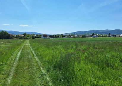 działka na sprzedaż - Lipowa, Sienna, Jodłowa