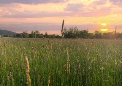 działka na sprzedaż - Bielsko-Biała, Kamienica